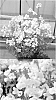 Nemesia%20hybrida%20%27GG%20Pearl%27
