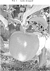 Malus%20domestica%20%27Lentz%20Jonagold%27