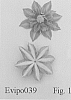 Clematis%20viticella%20%27Evipo039%27