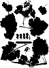 Vitis%20vinifera%20%27Sheegene-4%27