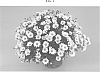 Argyranthemum%20frutescens%20%27DANARGY27%27