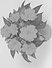 Impatiens%20hawkeri%20%27Fisnics%20Orred%27