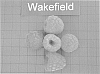 Rubus%20idaeus%20L.%20%27Wakefield%27