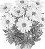 Osteospermum%20ecklonis%20%27Fidostlil%27