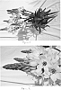 Ornithogalum%20thyrsoides%20%27Bethlehem%27