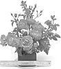 Rosa%20hybrida%20%27DARcanard%27