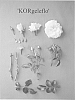 Rosa%20hybrida%20%27KORgeleflo%27