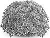 Chrysanthemum%20morifolium%20%27PPP%20REML%2009%27