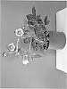 Helleborus%20orientalis%20%27HLR%20160%27