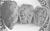 Opuntia%20ficus-indica%20%27DAR%201-12-19%20Red%27