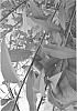 %28Prunus%20dulcis%20x%20P.%20persica%29%20x%20%28P.%20persica%20x%20P.%20davidiana%29%20%27Greenpac%27