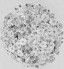 Chrysanthemum%20x%20morifolium%20%27Caprice%20Pink%27