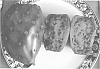 Opuntia%20ficus-indica%20L.%20Miller%20%27DAR%201-21-27%20Purple%27
