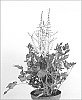 Astilbe%20hybrida%20%27Spotlight%27