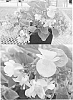 Begonia%20semperflorens%20%27Sunbegopi%27