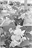 Begonia%20semperflorens%20%27Sunbegobupi%27