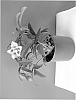 Helleborus%20orientalis%20hybrid%20%27HLR%20150%27