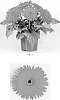 Gerbera%20x%20hybrida%20%27Lekgerred%27