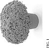 Chyrsanthemum%20x%20morifolium%20Ramat.%20%27Zanmufay%27