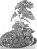 Physocarpus%20opulifolius%20%27Podaras%201%27