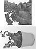 Physocarpus%20opulifolius%20%27Podaras%202%27