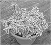 Cistus%20x%20hybridus%20%27DUNNECIS%27