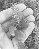 Cranberry%20variety%20named%20WI92-A-X15
