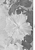 Hibiscus%20rosa-sinensis%20%27DUP-MNDC%27