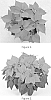 Euphorbia%20pulcherrima%20%27SYEP22866%27