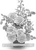 Rosa%20hybrida%20%27HARpageant%27