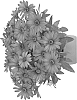 Osteospermum%20ecklonis%20%27Duetiswipu%27