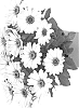 Osteospermum%20ecklonis%20%27Duetiswirowi%27