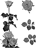 Rosa%20hybrida%20%27Esm%20Kata%27
