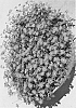 Brachyscome%20angustifolia%20%27Cherish%27