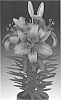 Lilium%20hybrida%20%27Tiny%20Spider%27