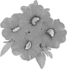 Calibrachoa%20sp.%20%27Duealne11%27
