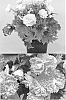 Begonia%20x%20hiemalis%20%27Usami%20N%27
