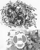 Torenia%20sp.%20%27Sunrekoroho%27