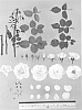 Floribunda%20rose%20plant%20named%20%27Evanrat%27