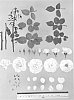 Floribunda%20rose%20plant%20named%20%27Evanrat%27