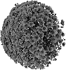 Chrysanthemum%20x%20morifolium%20%27Pavia%20Red%27