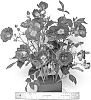 Rosa%20hybrida%20%27ORAfantanov%27