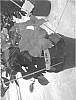 Mandevilla%20sanderi%20%27Gendipdark%27