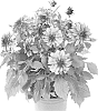 Dahlia%20variabilis%20%27Fidahhypcor%20%27