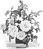 Rosa%20hybrida%20%27WEKbijou%27