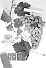 Vitis%20interspecific%20hybrid%20%27IFG%20Seven%27