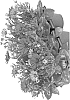 Osteospermum%20ecklonis%20%27Fidostnanopur%27