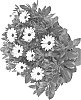 Osteospermum%20ecklonis%20%27Fidostnanowhi%27