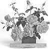 Rosa%20hybrida%20%27WEKmerewby%27
