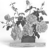 Rosa%20hybrida%20%27WEKmerewby%27